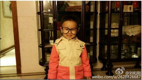 刘和刚个人资料孩子