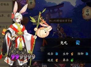 兔丸的图片,治愈系美食瞬间上线