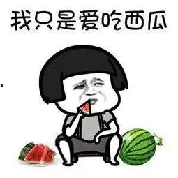 娱乐吃瓜小象是谁,网络红人的崛起之路